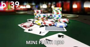 mini flush BJ39