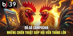 Đá Gà Campuchia | Những Chiến Thuật Giúp Hội Viên Thắng Lớn