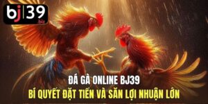Đá Gà Online BJ39 | Bí Quyết Đặt Tiền Và Săn Lợi Nhuận Lớn