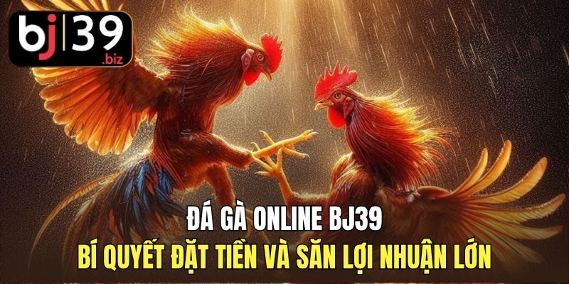 Đá Gà Online BJ39 | Bí Quyết Đặt Tiền Và Săn Lợi Nhuận Lớn