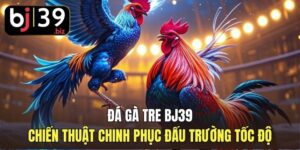 Đá Gà Tre BJ39 | Chiến Thuật Chinh Phục Đấu Trường Tốc Độ